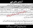 Jobs In Military College Jhelum