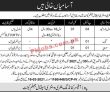 Jobs in Military & Veterinary Hospital Jhelum