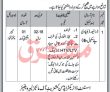 Jobs In Mines Labors Welfare Kpk