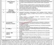 Jobs in Mines and Minerals Development Department MMDD