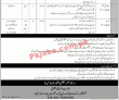 Jobs in Ministry of Human Rights Government of Pakistan