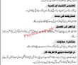 Jobs In Ministry Of Information & Technology