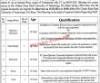 Jobs in Mir Chakar Khan Rind University of Technology