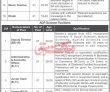 Jobs In Model Institute Of State Children Peshawar