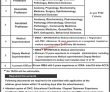 Jobs in Mohi ud Din Islamic Medical College Mirpur AJ&K