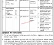 Jobs In Mufti Mehmood Memorial Teaching Hospital