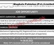 Jobs in Mughals Pakistan Pvt Limited