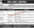 Jobs In Multan Chemical Limited Mcl