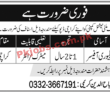 Jobs in Multinational Company