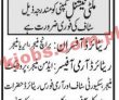 Jobs In Multinational Company