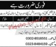 Jobs In Multinational Company