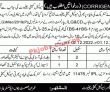 Jobs In Municipal Committee Chiniot