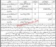 Jobs In Municipal Committee Jacobabad