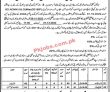 Jobs In Municipal Committee Kot Abdul Maalik