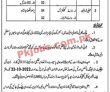 Jobs In Municipal Committee Kot Addu