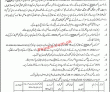Jobs In Municipal Committee Sheikhupura