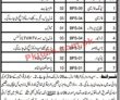 Jobs In Municipal Committee