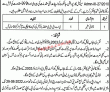 Jobs In Municipal Corporation Sialkot