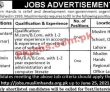 Jobs In Muslim Hands Relief And Development Non Government Organization