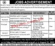 Jobs In Muslim Hands