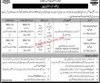 Jobs In Nadra Pakistan