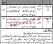 Jobs In Nadra Pakistan