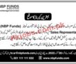 Jobs In Nbp Funds Limited