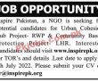 Jobs In Ngo Rawalpindi