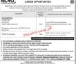 Jobs In Nicvd