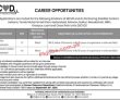 Jobs In Nicvd