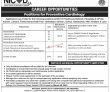 Jobs in NICVD