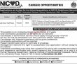 Jobs In Nicvd
