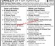 Jobs in NIMIR Chemicals Pakistan Limited