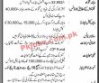 Jobs in NLC Lahore