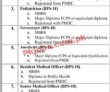 Jobs In Nsgbrm Hospital Mastung Balochistan
