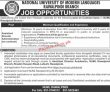 Jobs In Numl Islamabad
