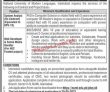 Jobs in NUML Islamabad
