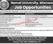 Jobs In Namal University