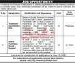 Jobs in National Civil Society Organization