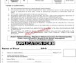 Jobs In National Council For Homoeopathy