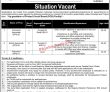 Jobs In National Institute Of Electronics Ministry Of Science &