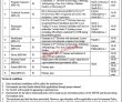Jobs In National Institute Of Folk And Traditional Heritage