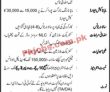 Jobs In National Logistic Cell Nlc