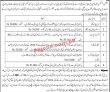 Jobs In National Logistic Cell Nlc