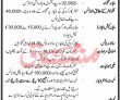 Jobs in National Logistic Cell NLC