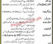 Jobs In National Logistic Cell Nlc