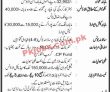 Jobs In National Logistic Cell