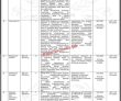 Jobs In National School Of Public Policy Government Of Pakistan