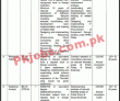 Jobs In National School Of Public Policy Government Of Pakistan