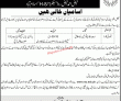 Jobs in National Skills University Islamabad